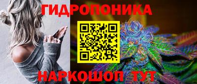СК Нальчик