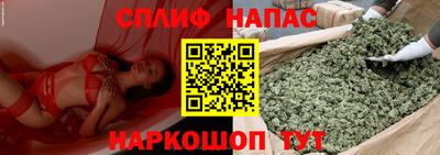 СК Нальчик