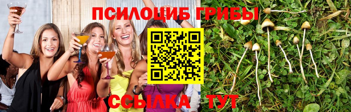 Галлюциногенные грибы Cubensis Урус-Мартан