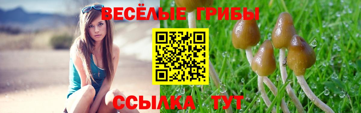 Урус-Мартан  где купить наркоту  Вход с VPN  Галлюциногенные грибы мицелий 
